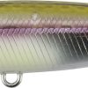 DUO Realis Pencil 65 Komochi Wakasagi (DSH3061)