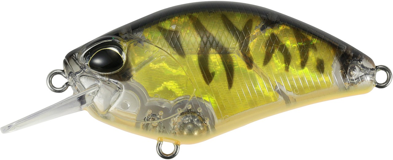 DUO Realis Crank 55SR Kabuki Gold Plate Tiger (CDX3933)