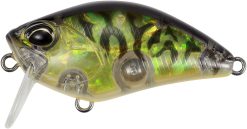 DUO Realis Crank 50 SSR Kabuki Gold Plate Tiger (CDX3933)
