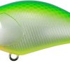 DUO Realis Crank 50 SSR Kabuki Citrus Shad (CCC3180)