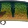 DUO REALIS JERKBAIT 85SP Perch ND (CCC3864)