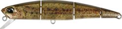 DUO Spearhead Ryuki Quattro 70S RP Loach (CCCZ214)