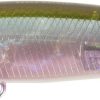 DUO Bayruf Seek 85S FW UNDER WALKER Ghost Minnow (CEA3006)