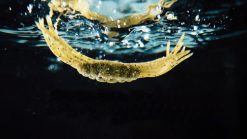 JACKALL DRIFT CRAB 45 DARK GREEN PUMPKIN BLUE FLAKE – Bild 6