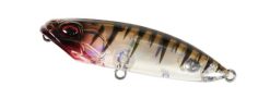 DUO Bayruf Reprush 62F Phantom Shrimp (CLA0739)