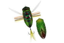 DUO Realis Dekanshinmushi Kinkame (CCC3218)
