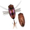 DUO Realis Dekanshinmushi Beetle (CCC3219)