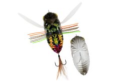 DUO Realis Dekanshinmushi Sunset Moth (CCC3233)