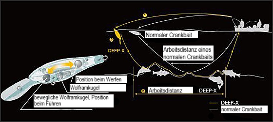 DEEP-X 300 M WESTERN CROWN – Bild 2