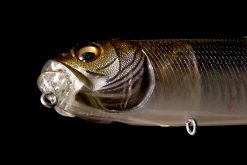 MEGABASS DOG-X DIAMANTE(SILENT) BIWAKO CLEAR GILL – Bild 2