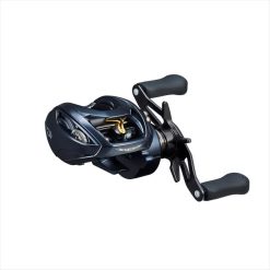 DAIWA 23 STEEZ A II TW 1000L (JDM)