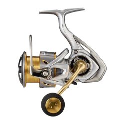 DAIWA 21 FREAMS LT4000-C (JDM)