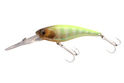 JACKALL Soul Shad 58SP POL Chart Back Blue Gill