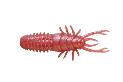 JACKALL WAMWAM 60 Tuchi Mimizu