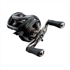DAIWA 24 STEEZ SV TW 100XHL (JDM)