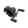 DAIWA 24 STEEZ SV TW 100L (JDM)