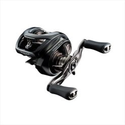 DAIWA 24 STEEZ SV TW 100L (JDM)