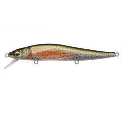 VISION ONETEN GLX RAINBOW