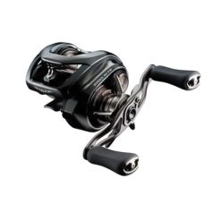 DAIWA 24 STEEZ SV TW 100HL (JDM)