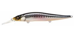 MEGABASS VISION ONETEN+1 SW GG IWASHI