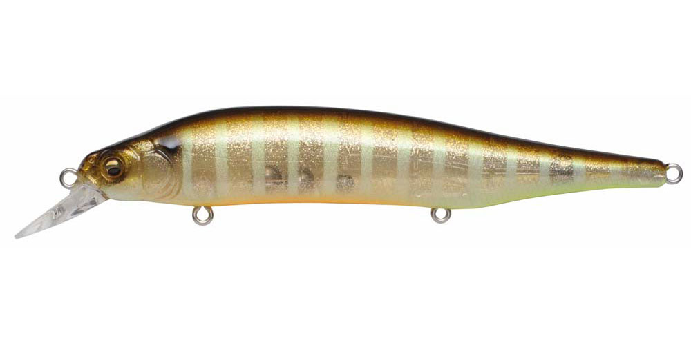 VISION ONETEN (SP-C) GLX GALAXY SHINER