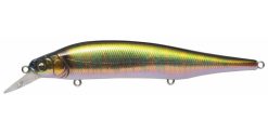 MEGABASS ITO SHINER WAGIN OIKAWA(M)