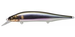MEGABASS ITO SHINER WAGIN SETSUKI AYU