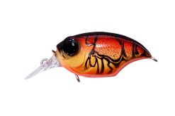 SR-X GRIFFON WILD CRAW