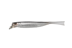 JACKALL DRIFTFRY 4.0"  SILVER POWDER SHAD
