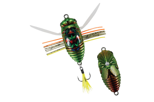 DUO REALIS SHINMUSHI Kinkame (CCC3218)