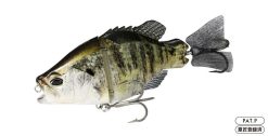 DUO Realis SNAPPY CRAPPIE