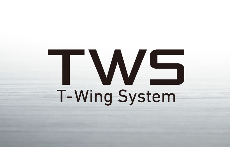 DAIWA 25 IM Z TW 100L-C (JDM) – Bild 8