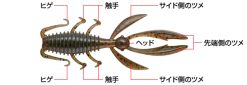 ANTLION 3.3" | #73 NUMAEBI – Bild 2