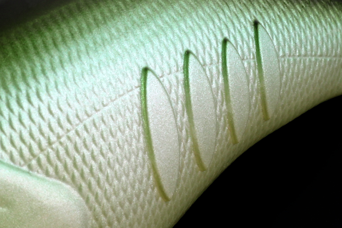 KORRIGAN-MAGNUM 350 #06 Horizon Shad – Bild 5