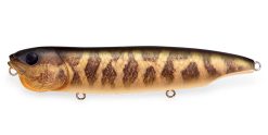 MEGABASS DOGMAX SLIDING MODEL FA BABY RAIGYO