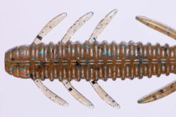 DoLive Shrimp 4" SHIRAUO W056 – Bild 4