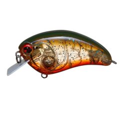 ima SQUARE BILL #178 Watermelon Craw