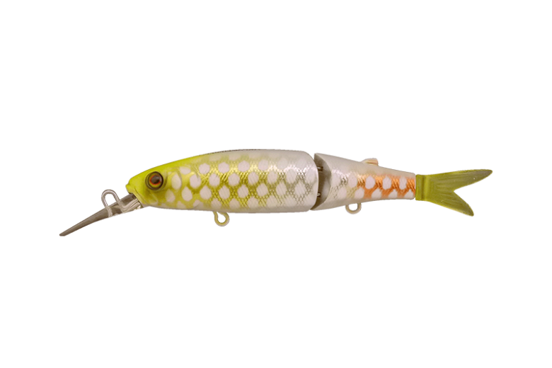 JACKALL MAGALLON ALBINO CHART PIRARUCU