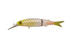 JACKALL TINY MAGALLON ALBINO CHART PIRARUCU