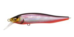 X-75 NANAHAN SW SH RB SHAD