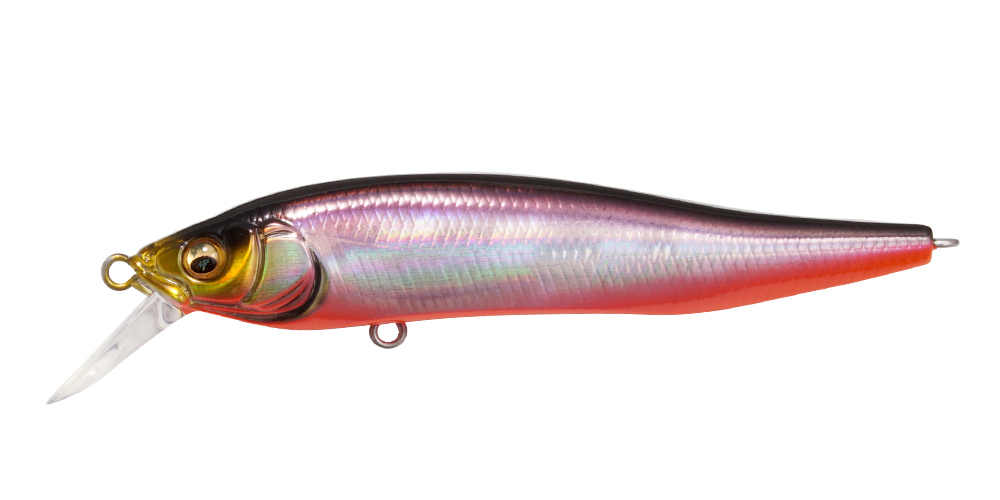 X-75 NANAHAN SW SH RB SHAD