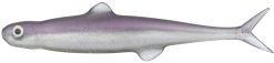 LAST ACE 75  #40 SECRET SHAD
