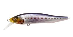X-75 NANAHAN SW GC IWASHI