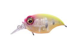 SR-X GRIFFON EIGHT REACTION