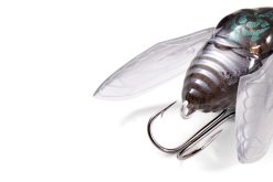 NANO SIGLETT FF Bee – Bild 3