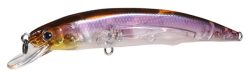 HU-MINNOW 77SP #141 Amarin Bible over – Bild 2