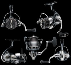 DAIWA 24 CERTATE LT4000-C (JDM) – Bild 2